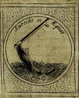 Picture 363 of 789 from Teatro d'imprese (1623), leaf 818