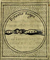 Picture 379 of 789 from Teatro d'imprese (1623), leaf 831