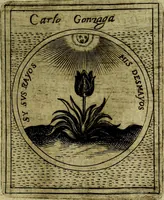 Picture 381 of 789 from Teatro d'imprese (1623), leaf 834