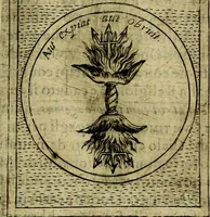Picture 404 of 789 from Teatro d'imprese (1623), leaf 854