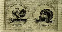 An illustration from Teatro d'imprese (1623)