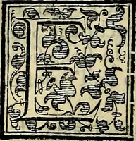 An illustration from Teatro d'imprese (1623)