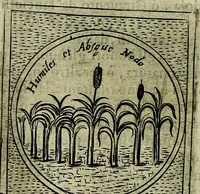 Picture 438 of 789 from Teatro d'imprese (1623), leaf 883