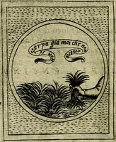 Picture 444 of 789 from Teatro d'imprese (1623), leaf 891