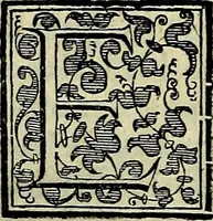Picture 445 of 789 from Teatro d'imprese (1623), leaf 891