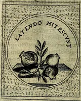 An illustration from Teatro d'imprese (1623)