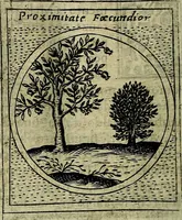 Picture 447 of 789 from Teatro d'imprese (1623), leaf 893