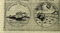 An illustration from Teatro d'imprese (1623)