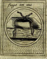 An illustration from Teatro d'imprese (1623)