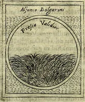 Picture 457 of 789 from Teatro d'imprese (1623), leaf 905