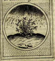 An illustration from Teatro d'imprese (1623)