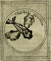 Picture 474 of 789 from Teatro d'imprese (1623), leaf 922