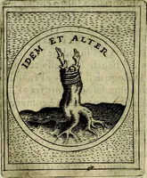 Picture 477 of 789 from Teatro d'imprese (1623), leaf 925