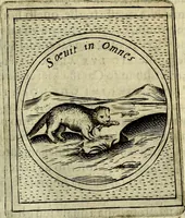 Picture 517 of 789 from Teatro d'imprese (1623), leaf 964