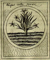An illustration from Teatro d'imprese (1623)