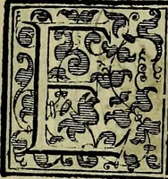 An illustration from Teatro d'imprese (1623)
