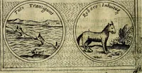 An illustration from Teatro d'imprese (1623)