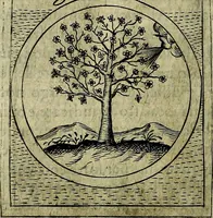 Picture 530 of 789 from Teatro d'imprese (1623), leaf 979