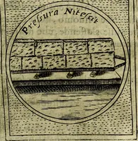 An illustration from Teatro d'imprese (1623)