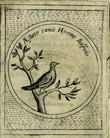 An illustration from Teatro d'imprese (1623)