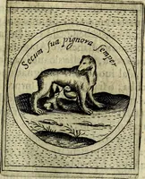 An illustration from Teatro d'imprese (1623)