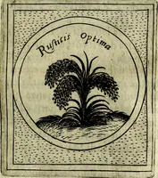 Picture 553 of 789 from Teatro d'imprese (1623), leaf 996