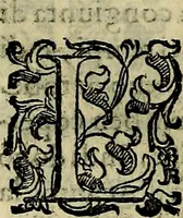 Picture 15 of 705 from Teatro d'imprese (1623), leaf 199