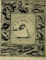 Picture 22 of 705 from Teatro d'imprese (1623), leaf 207