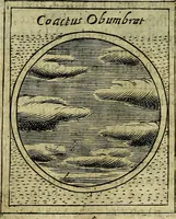An illustration from Teatro d'imprese (1623)