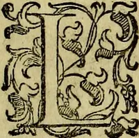 Picture 26 of 705 from Teatro d'imprese (1623), leaf 210