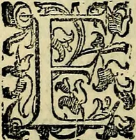 Picture 29 of 705 from Teatro d'imprese (1623), leaf 213