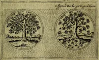 An illustration from Teatro d'imprese (1623)