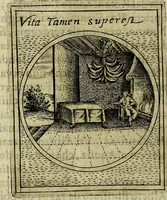 Picture 35 of 705 from Teatro d'imprese (1623), leaf 221