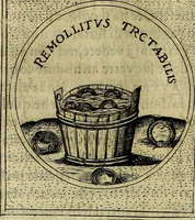 Picture 36 of 705 from Teatro d'imprese (1623), leaf 225