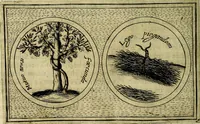 Picture 37 of 705 from Teatro d'imprese (1623), leaf 225