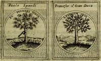 Picture 38 of 705 from Teatro d'imprese (1623), leaf 226