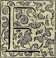 Picture 42 of 705 from Teatro d'imprese (1623), leaf 229