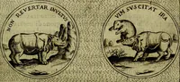 Picture 44 of 705 from Teatro d'imprese (1623), leaf 232