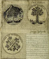 Picture 46 of 705 from Teatro d'imprese (1623), leaf 235