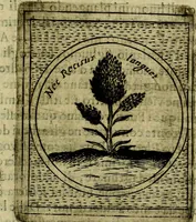 An illustration from Teatro d'imprese (1623)