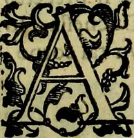 Picture 53 of 705 from Teatro d'imprese (1623), leaf 242