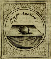 Picture 58 of 705 from Teatro d'imprese (1623), leaf 246