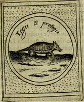 Picture 60 of 705 from Teatro d'imprese (1623), leaf 248