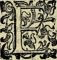 Picture 66 of 705 from Teatro d'imprese (1623), leaf 261