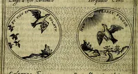 Picture 69 of 705 from Teatro d'imprese (1623), leaf 265