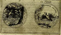 An illustration from Teatro d'imprese (1623)