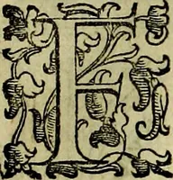 Picture 74 of 705 from Teatro d'imprese (1623), leaf 278