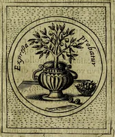 Picture 75 of 705 from Teatro d'imprese (1623), leaf 278