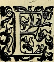Picture 80 of 705 from Teatro d'imprese (1623), leaf 281