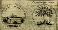 Picture 105 of 705 from Teatro d'imprese (1623), leaf 300